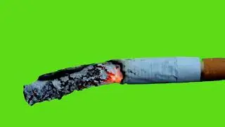 Burning Cigarette Green Screen