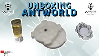 UNBOXING BOUTIQUE ANTWORLD (3D) 🐜