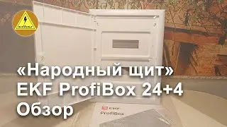 &laquo;Народный щит&raquo; EKF ProfiBox 24+4  Обзор