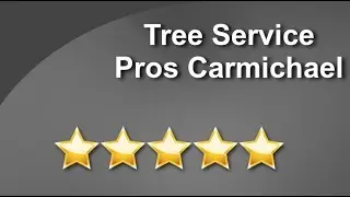 Tree Service Carmichael CA - Tree Service Pros Carmichael