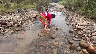 Primitive Life - Survival skills: Arrange stones as traps to catch fish