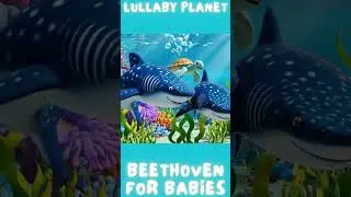 Beethoven For Babies Brain Development - Beethoven For Babies - Brain Development & Pregnancy Music