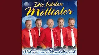 Zwei Brüder