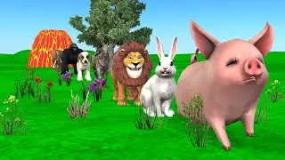 Paint & Animals Cat, Pig, Rabit Buffalo, Lion Fountain Crossing Transformation Animal Cartoon - P1