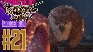A NEW FRIEND 👀✨ | Rob Plays Baldur’s Gate 3 MODDED Run #21 | Novakast