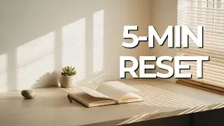 5-Minute Midday Reset | Release Stress & Regain Focus