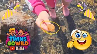 Crystals, Gems! The Twins Visit A Crystal Festival & Go Fossicking for Crystals - Kids TV Show