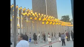 LACMA Jazz 6/28/23