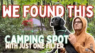 🏕️ We Found the DREAMIEST Camping Spot for Our 10-Year Anniversary (+ GF Vegan Mac & Cheese Recipe!)