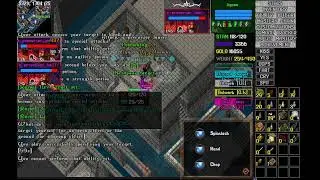 UO Outlands. Tribard sword Just level at Pulma. 울티마온라인 트라이바드소드 펄마 던전 사냥