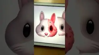 🐰🕳️ Rabbit Face Emoji #creative #emoji #procreate
