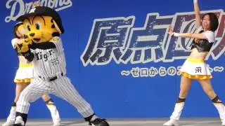 2017.7.14 ナゴドのオールスターゲームのＤステでタイガースのステージ Tigers Girls ＆ トラッキー♪