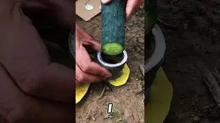 Часть 1121 &ndash; НЕ МОРГАЙТЕ! Это просто БЕЗУМНОЕ решение! 🤯🚨🔧