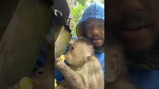 Not everyday you get to see this close up . #explore #monkey #jungle #nature #jungles