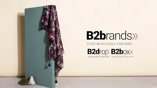 B2Drop by B2brands votre partenaire Dropshipping France et international