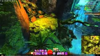 GW2 Hidden Amphibian Auric Basin Achievement Guide