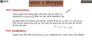 অধ্যায় ২ - প্রাণীর পরিচিতি - রুই মাছ: প্রজনন ও জীবনবৃত্তান্ত এবং প্রাকৃতিক সংরক্ষণ [HSC]