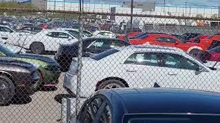 Some 2023 cars at the Assembly Plant in Brampton...lots of new SRT 300s