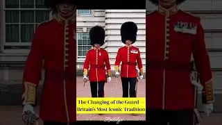 London Stops to Watch This Royal Moment 🇬🇧 The Changing of the Guard