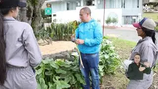 Tecnolog&iacute;a en gesti&oacute;n de la producci&oacute;n agr&iacute;cola