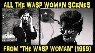 All The Wasp Woman Scenes From 