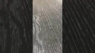 Black and white wood floors ! Custom wood flooring stains and finishes