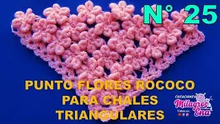 Chal N ° 25 tejido a crochet en punto FLORES  ROCOCO en forma triangular, en V o en punta