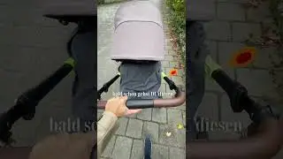 Bald schon gehst DU diesen Weg