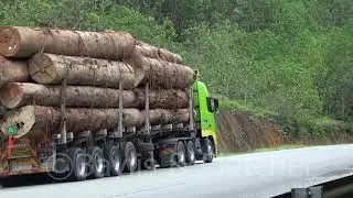 Logging truck, Malaysia. 20180701_120859.m2ts