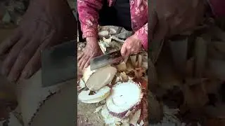 Slice fresh bamboo shoots #shorts #vegetables