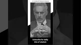 Difference between freedom and chaos - Jordan Peterson