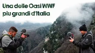 Guardiaregia | Una delle Oasi WWF più grandi d'Italia 🐼 🐼