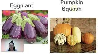Favorite Fruits and Vegetables