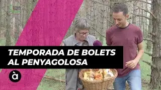 REPOR | Una tardor plena de bolets al Penyagolosa i a Vistabella del Maestrat