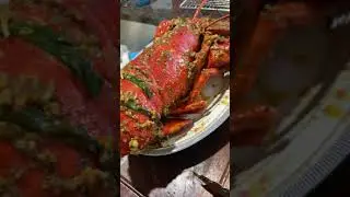 Have you ever seen a lobster this big?