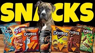 ASMR DOG MUKBANG ! Can This Dog Pick The Best Chips ? EP53