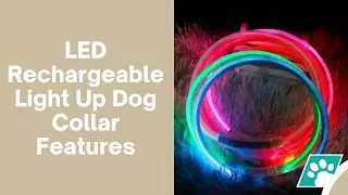 LED Rechargeable Light Up Dog Collar Features by PawzSmart