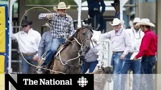COVID-19 forces Calgary Stampede cancellation