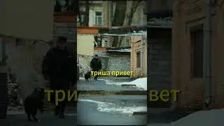 СПЕЦНАЗ НАКРЫЛ БАНДИТА ПОД ПРИРЫТИЕМ ПО НАВДКЕ МЕНТОВ  #бандиты  #кино  #сериал  #невский  #фильм