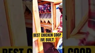 DIY Chicken Coop Build 🛠️ | Nesting Boxes, Roosting Bars & Brooder Setup
