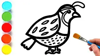 Quail Bird Drawing, Painting and Coloring for Kids, Toddlers | Let's Draw Animals and Birds