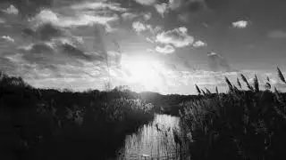 Matthew Shaw - Illumination