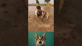 Life Saver Aura 💀 #cat #meme #aura