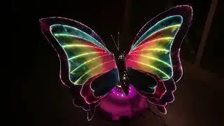 Fiber Optic Butterfly Showcase