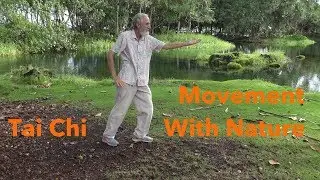 Tai Chi In Nature