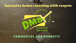Intensive house cleaning with carpets 