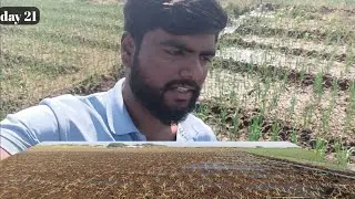Pyaj ko Ye Kese Pani Laga Diya🫨