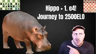 HIPPOPOTAMUS DEFENSE + Aggressive 1. e4 Repertoire!