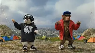 Cat and Monkey dance | Ah Meow dance  #004 
