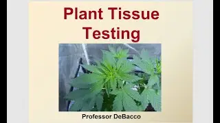 Plant Tissue Testing